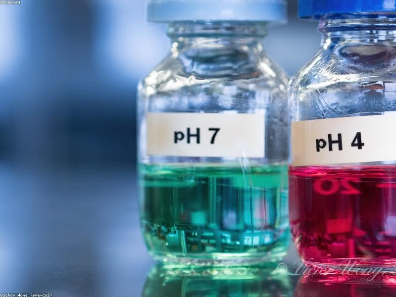 Reagents & Chemicals
